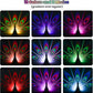 Colors Atmosphere Peacock Night Lights