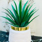 Pack of 2 Premium Mini Artificial Plants for Home & Office Decor