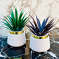 Pack of 2 Premium Mini Artificial Plants for Home & Office Decor