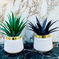 Pack of 2 Premium Mini Artificial Plants for Home & Office Decor