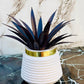 Pack of 2 Premium Mini Artificial Plants for Home & Office Decor